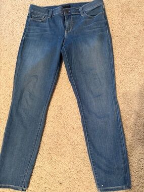 Ann Taylor Skinny Jeans in Medium Blue Wash